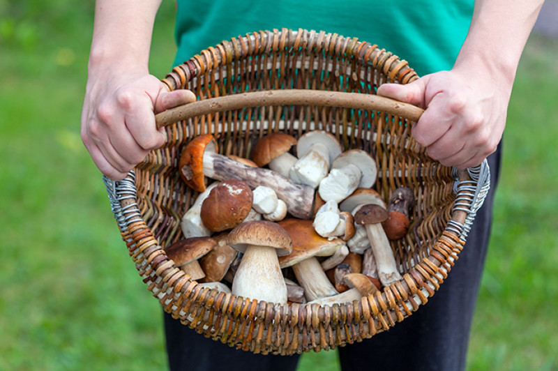 shutterstock_319927832-kk.jpg
