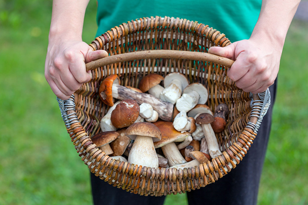 shutterstock_319927832-kk.jpg