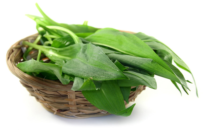 shutterstock_50418679-kk.jpg