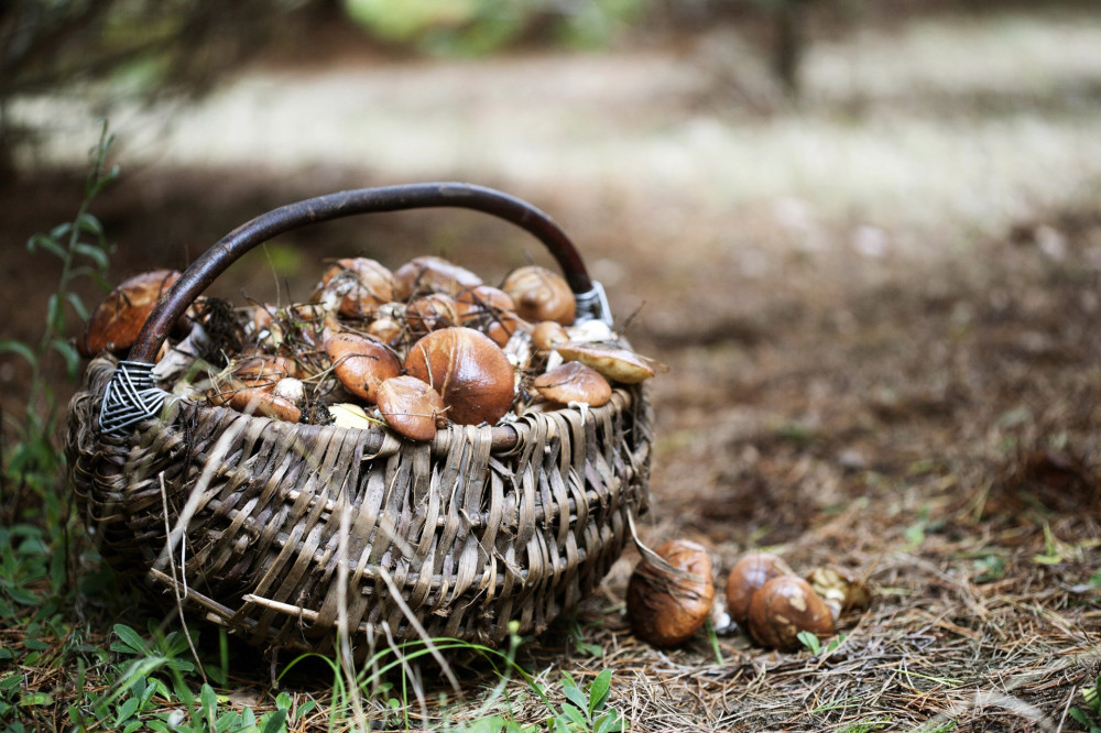 shutterstock_61328764