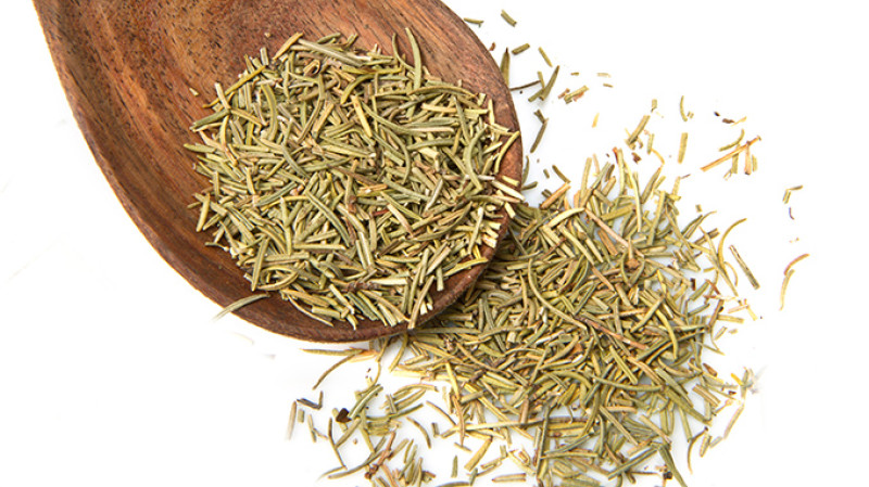 shutterstock_73151026-kk.jpg