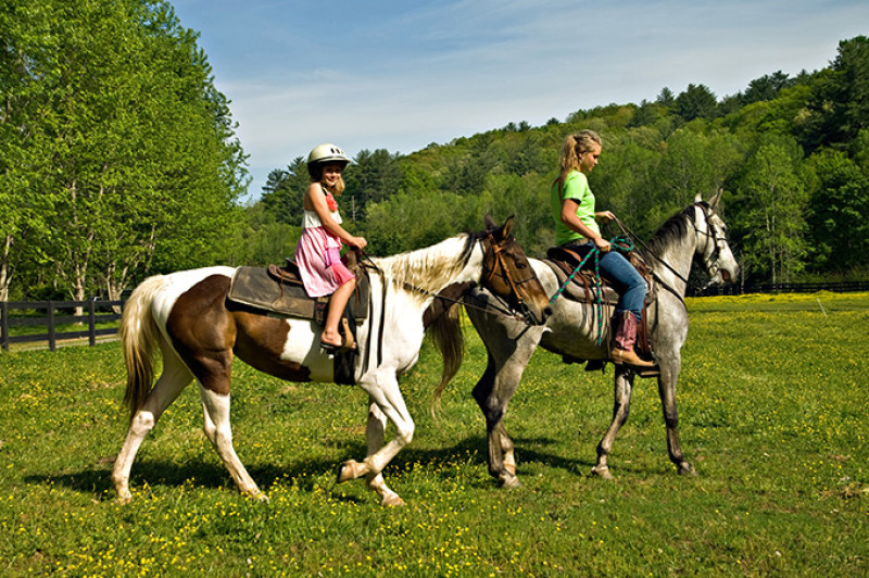 shutterstock_76872979-2.jpg
