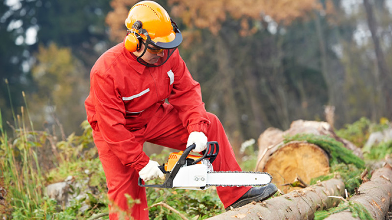 shutterstock_88979665-kk.jpg