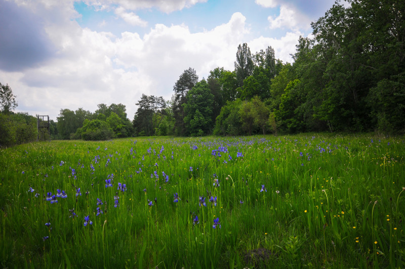 Soroksári Botanikus Kert