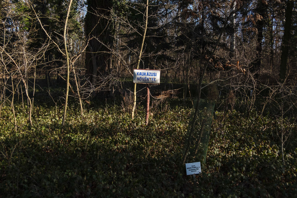 Soroksári Botanikus Kert