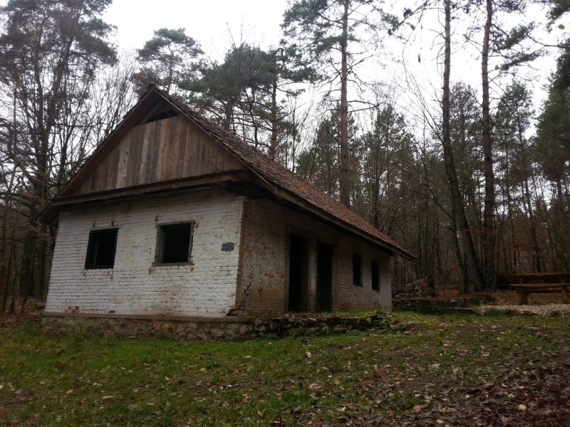 szabopallag_1.jpg