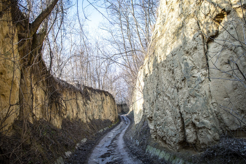Szekszárd környéki szurdik