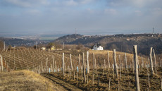 Szekszárdi mozaik - szurdikok, szőlők, kilátók