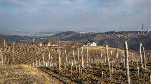 Szekszárdi mozaik - szurdikok, szőlők, kilátók
