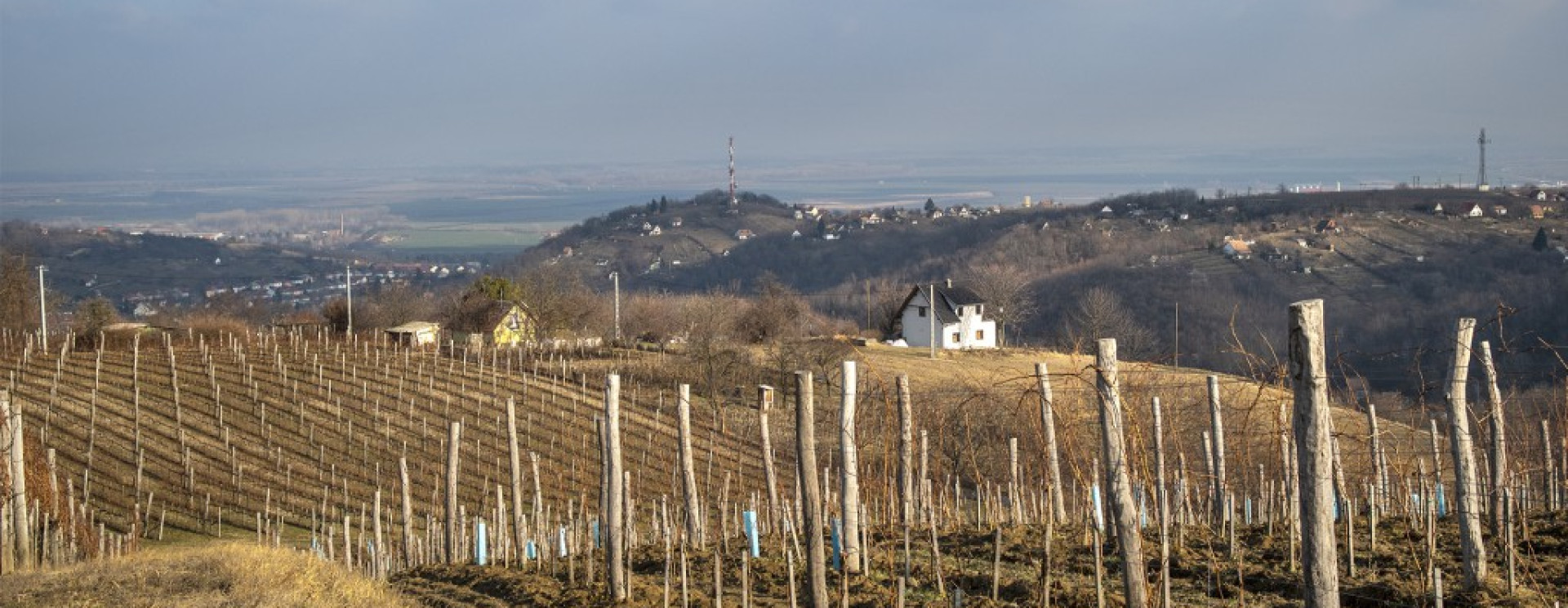 Turista Magazin - Szekszárdi mozaik - szurdikok, szőlők ...
