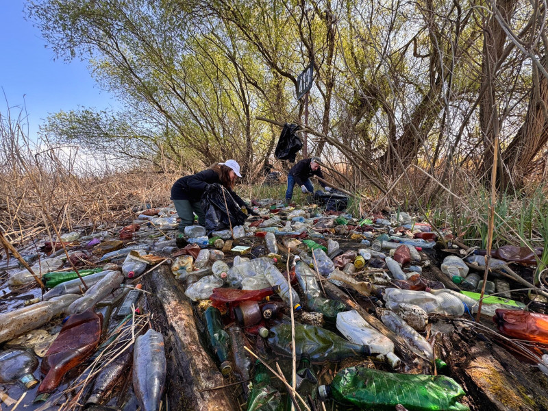 Szemétszedők a Tisza-tónál