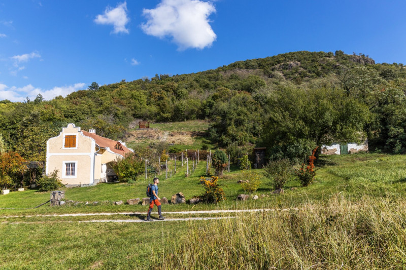 Szent_Gyorgy_hegy_szolok_GA