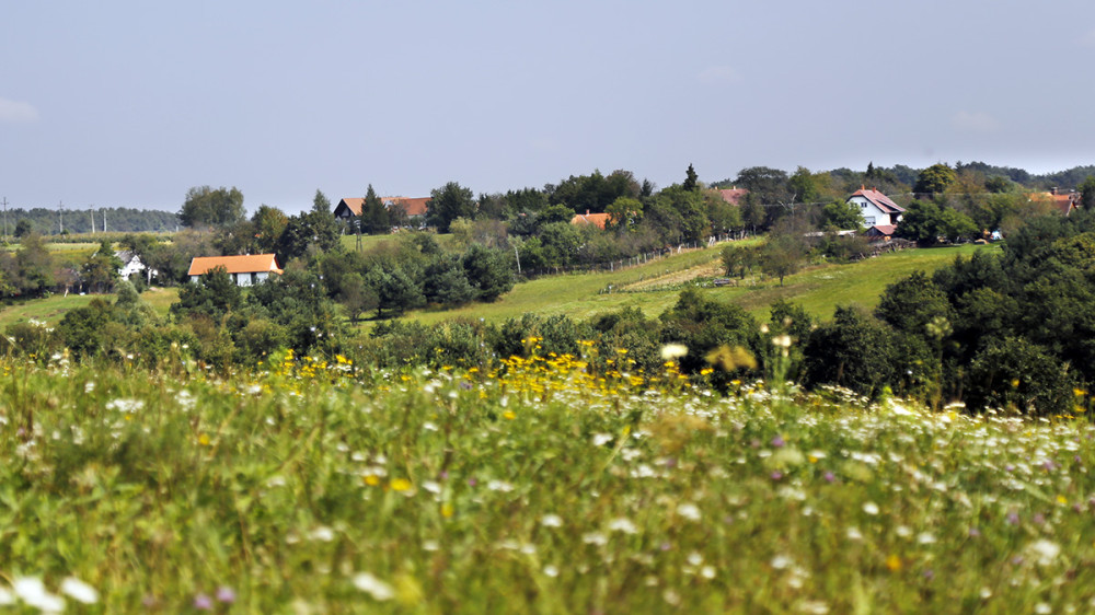 szep-13-15_074-kk.jpg