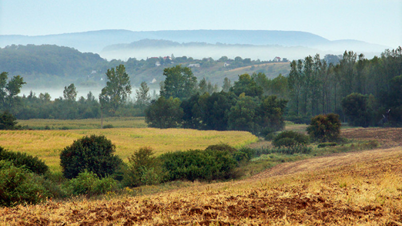 szep-16_029-2kk.jpg