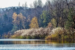 Szépséges bányasebek – Tóról tóra a Vértesben