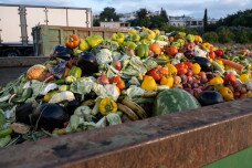 Szeptember 29.: világnap az élelmiszer–pazarlás ellen