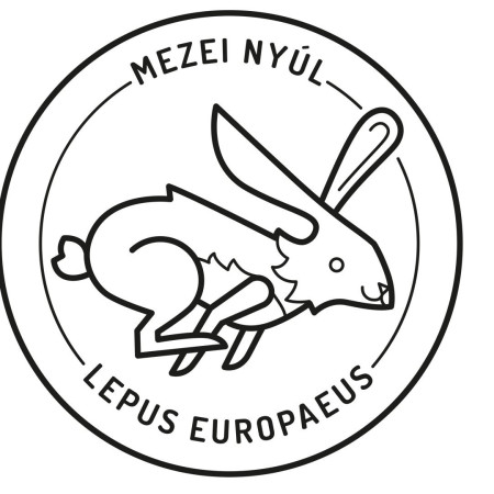 Színezd ki a mezei nyulat!