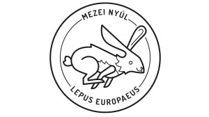 Színezd ki a mezei nyulat!
