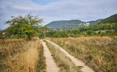 Szőlők és szép kilátások – Túra a Móri borvidéken