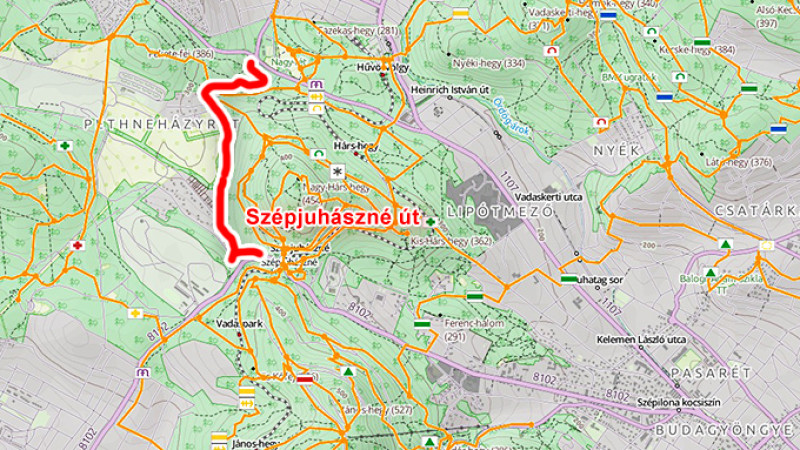 szpj.jpg