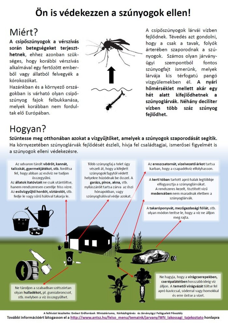 szunyogposzter