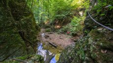 Szurdok vagy szurdik? Mi a különbség?