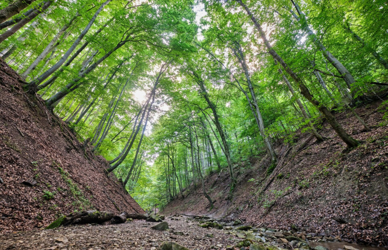 Szurdokszerű meredély övezi a patakot Kisújbánya közelében