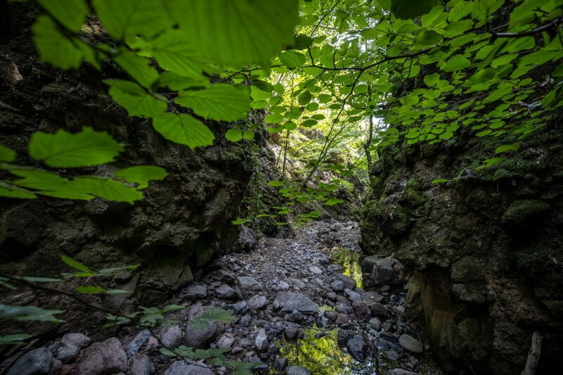 Tarjanka szurdok_20190725_FOTO_Francz Ilona_0097