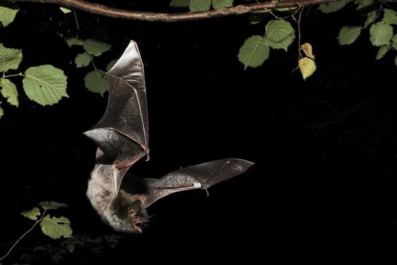 tavi_denever_1024x686_640