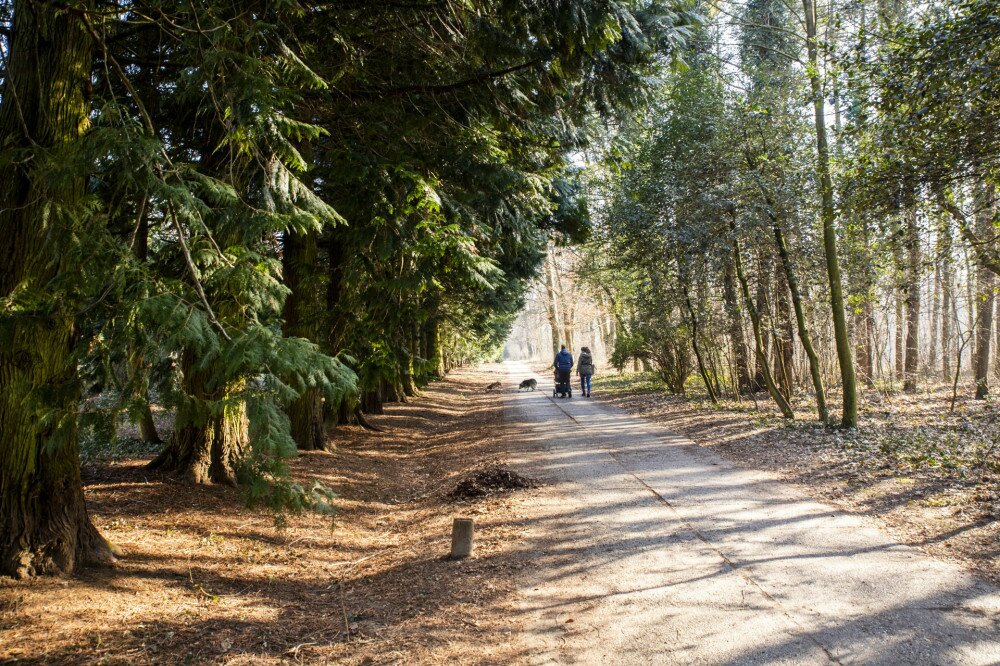 Tél végi séta a Gödöllői Erdészeti Arborétumban