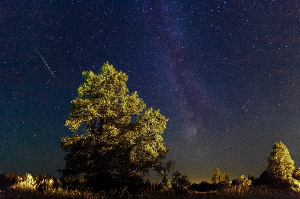The Milky Way. A beautiful August summer night sky with stars on the background of a big trees. Starfall, the falling Perseids.