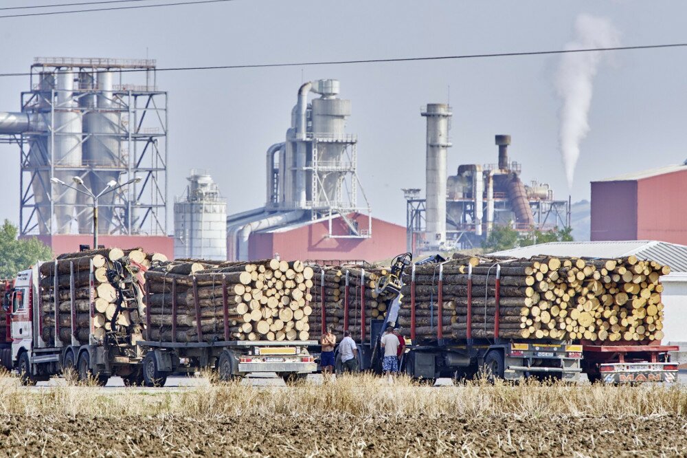 Timber Industry in Romania @ Greenpeace