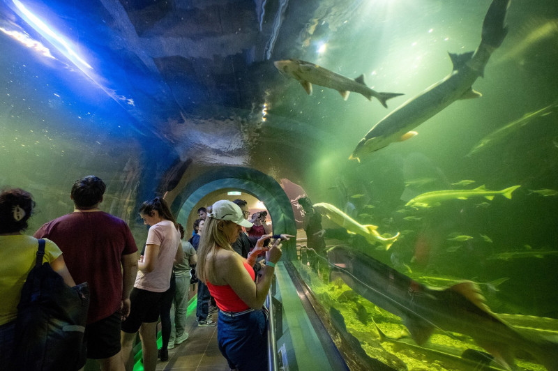 Tisza-tavi Ökocentrum akváriuma