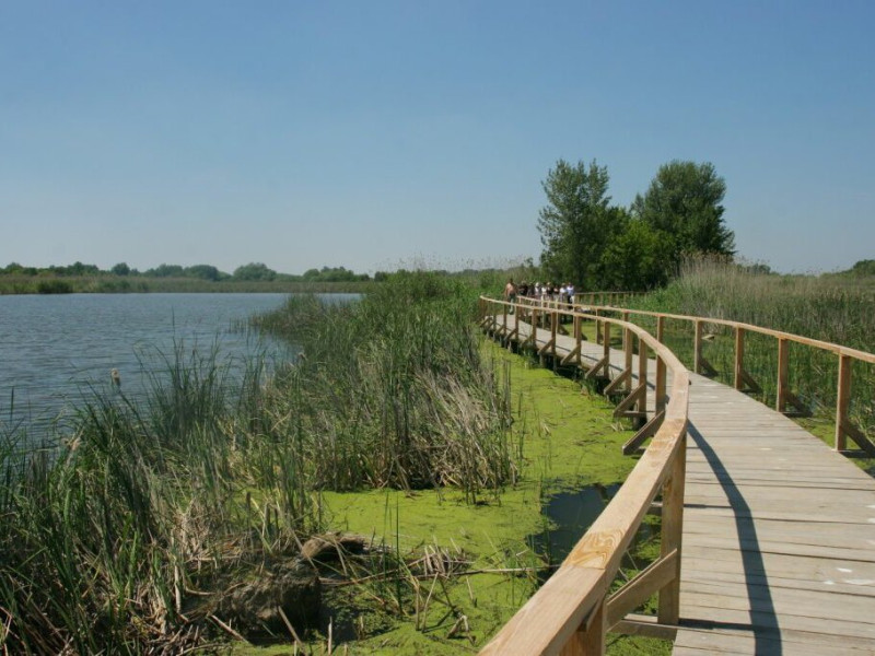 Tisza-tavi vizisétány_HNPI