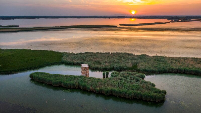 Tisza-tó