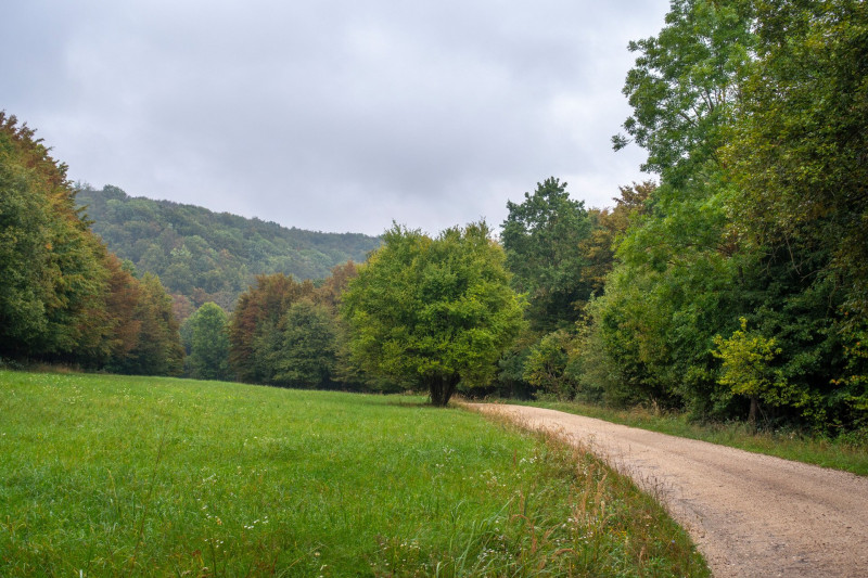 Tisztások mentén Bakonybél felé