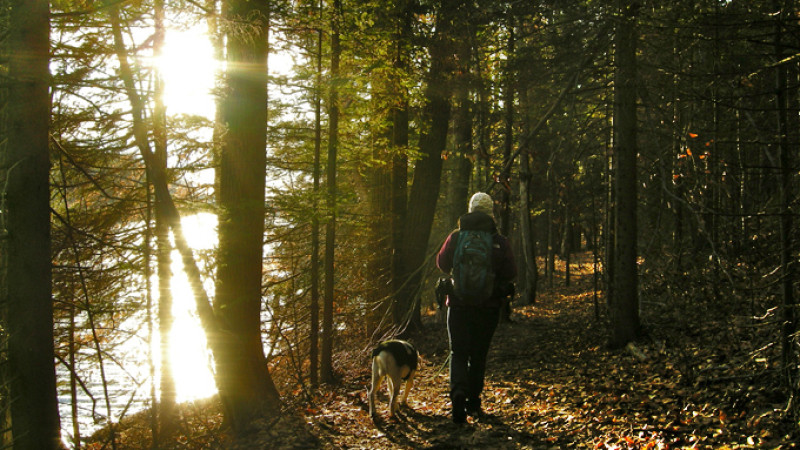 tk-garden_state_hiker.jpg