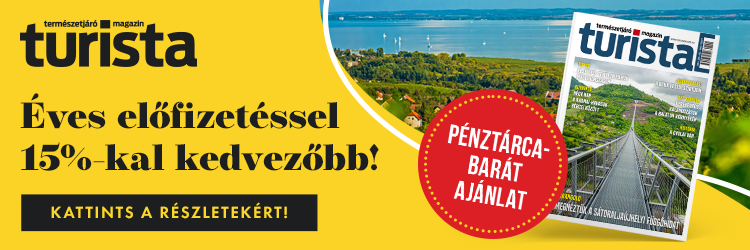 TM éves előfizetés