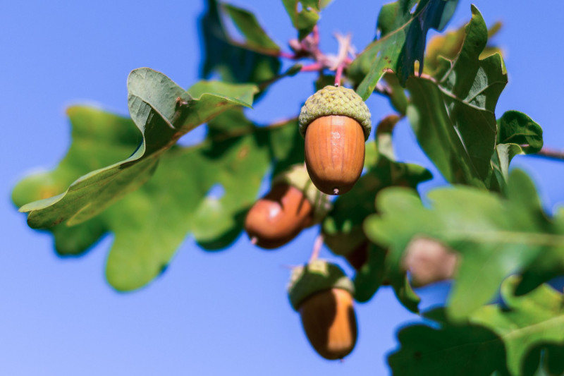 tolgy_FOTO_AdobeStock_103875116 másolat