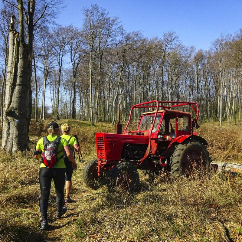 Traktor és túrázók az erdőben