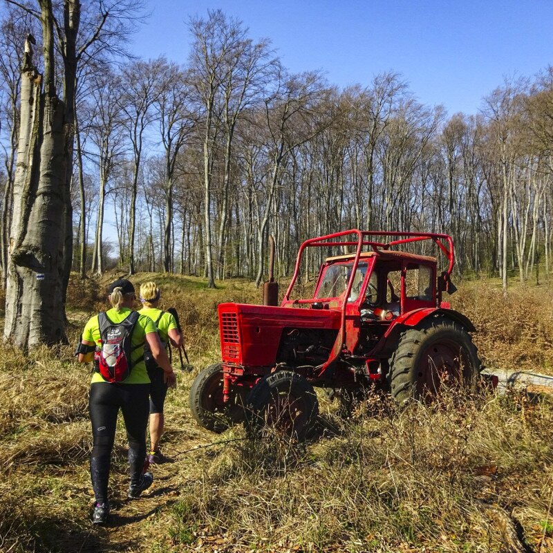 Traktor és túrázók az erdőben
