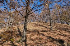 Tudtad, hogy hol van hazánk legnagyobb őskori földvára?