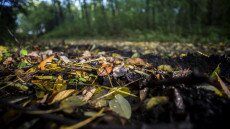 Tudtad, mikor köszönt be hazánkban az ősz?