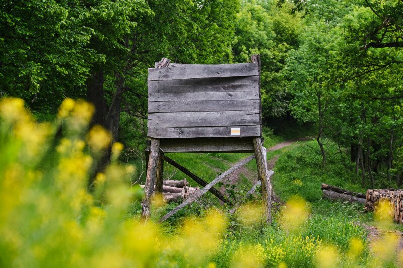 Túra a Börzsöny S jelzésű turistaútján