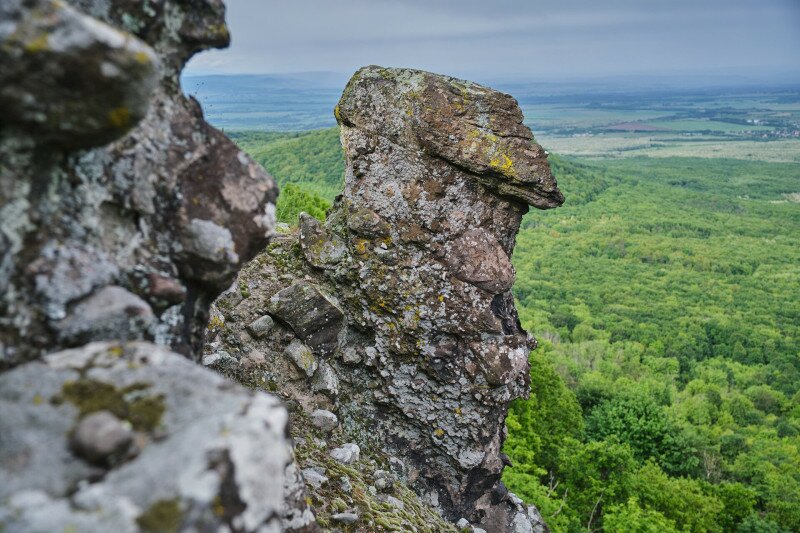 Túra a Börzsöny S jelzésű turistaútján