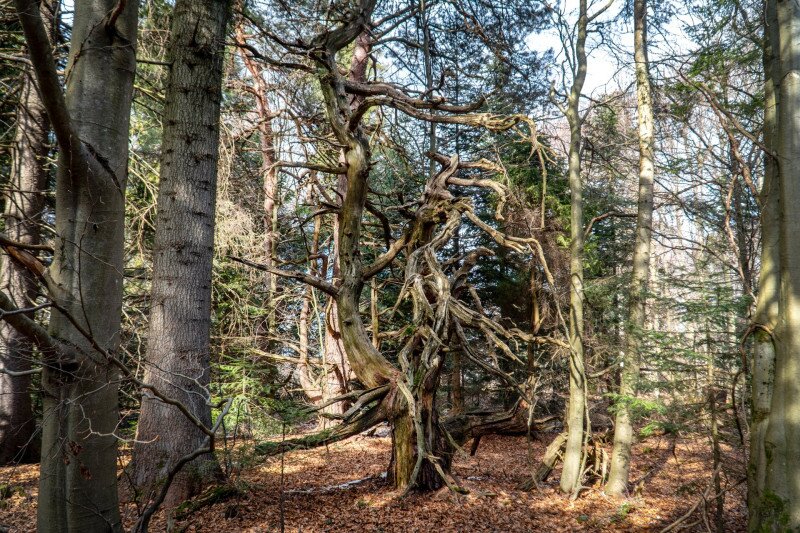 Túra a Kassai-hegyekben
