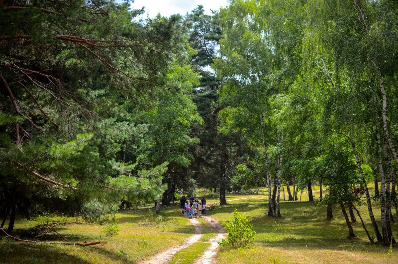 Túra a Rétyi nyírjes tanösvényen Erdélyben