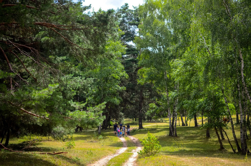 Túra a Rétyi nyírjes tanösvényen Erdélyben