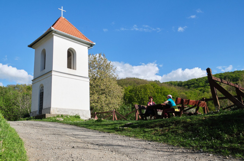 Túra a Zengőn át, bazsarózsák és medvehagymák között