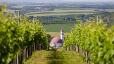 Túrák szüret utánra